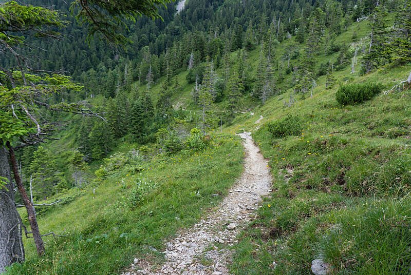 Benediktenwand Trail