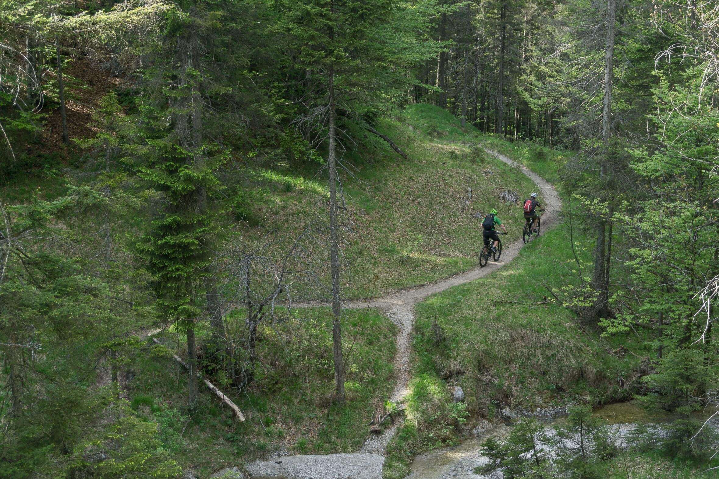 Blick auf den Hochkopf Trail